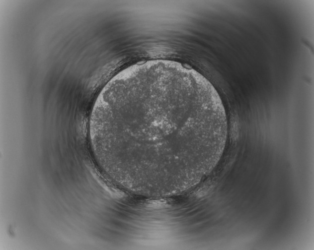 X0000103470405200810241019