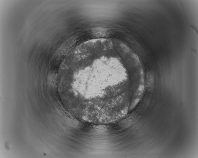 X0000103470409200810241019