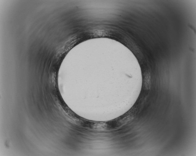 X0000103470410200810241018