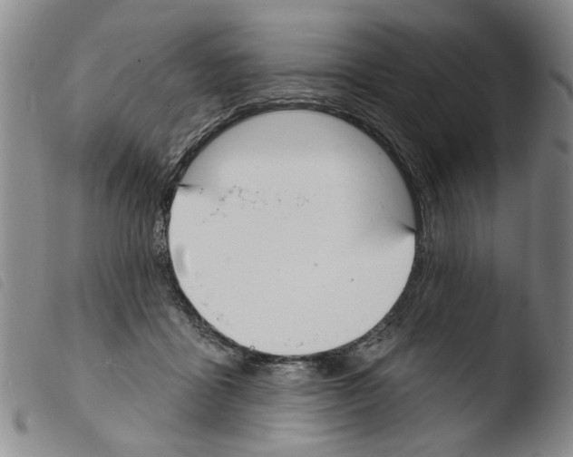 X0000103470411200810241018