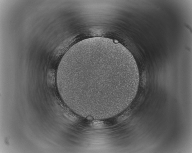X0000103470413200810241018