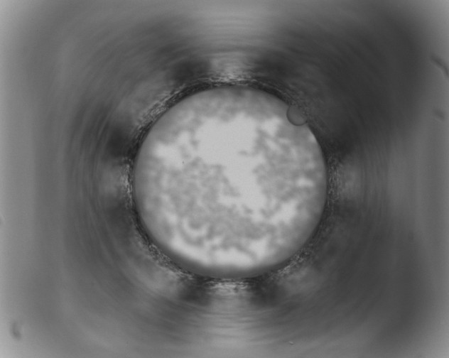X0000103470415200810241018