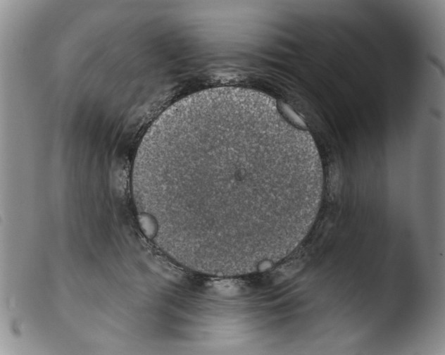 X0000103470417200810241018
