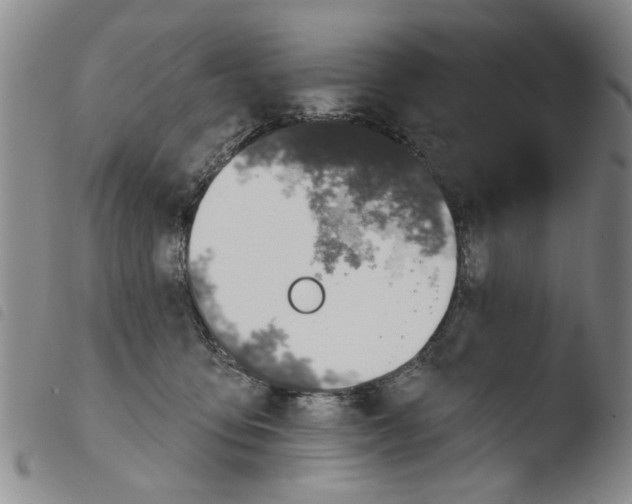X0000103470419200810241018