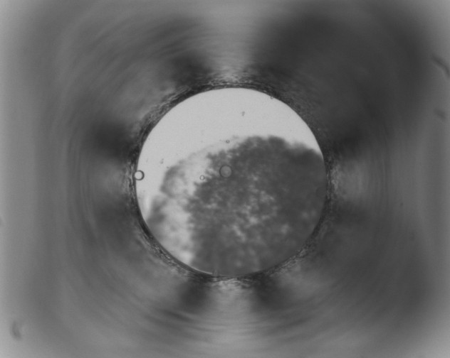X0000103470423200810241018