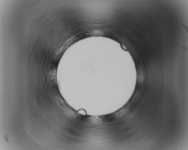 X0000103470425200810241018