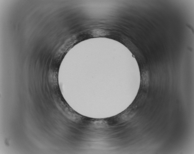 X0000103470426200810241018