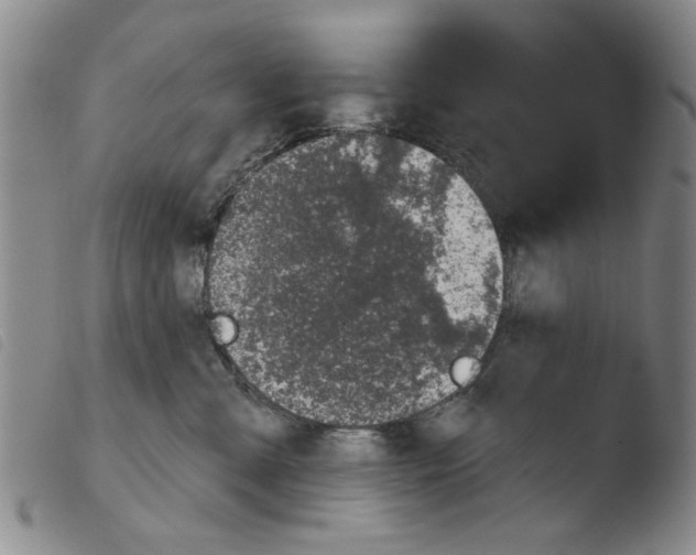 X0000103470427200810241018