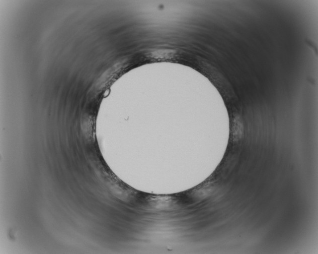 X0000103470428200810241018