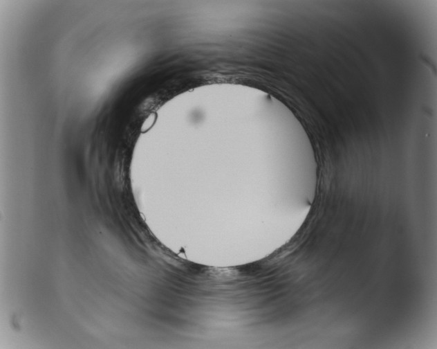 X0000103470429200810241018