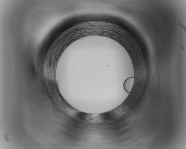 X0000103470431200810241018