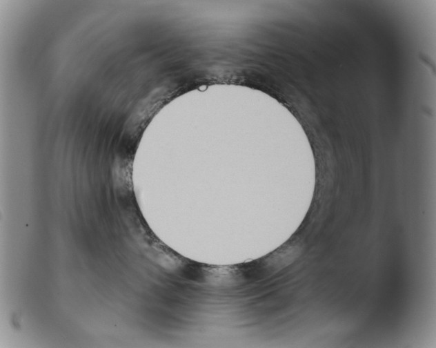X0000103470432200810241018