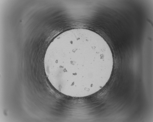 X0000103470433200810241018