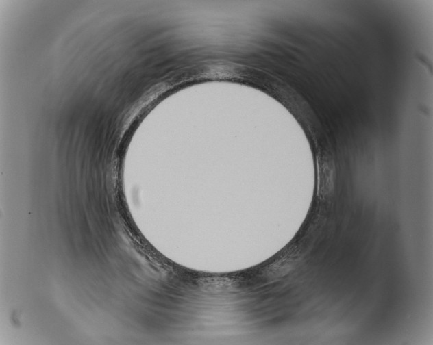 X0000103470435200810241018