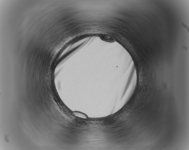 X0000103470436200810241018