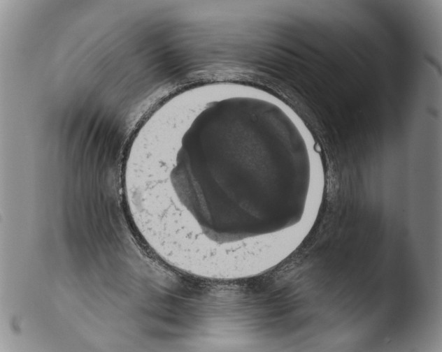X0000103470438200810241018