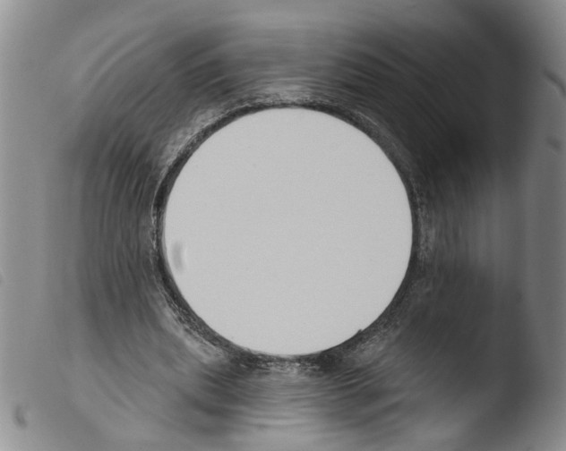 X0000103470439200810241018
