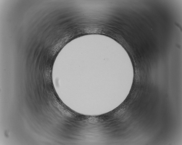 X0000103470441200810241018