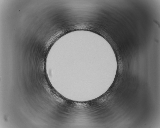 X0000103470442200810241018