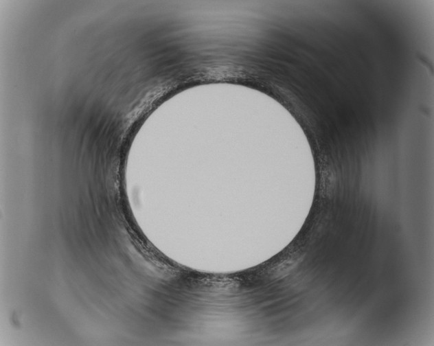 X0000103470443200810241018