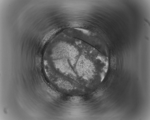 X0000103470444200810241018