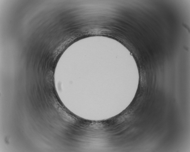 X0000103470445200810241018