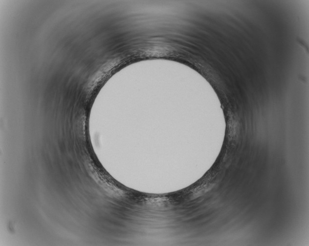 X0000103470446200810241018