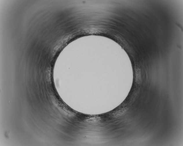 X0000103470447200810241018