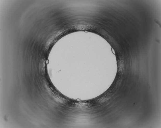 X0000103470448200810241018