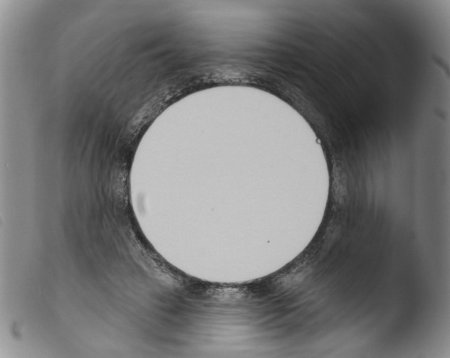 X0000103470449200810241018