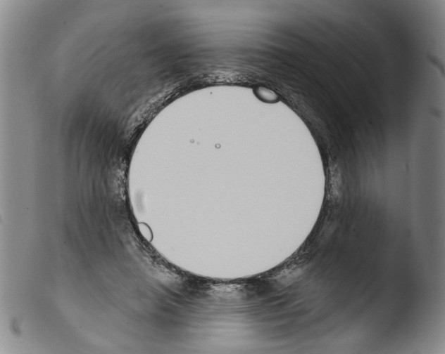 X0000103470450200810241018