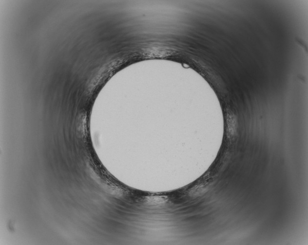 X0000103470451200810241018