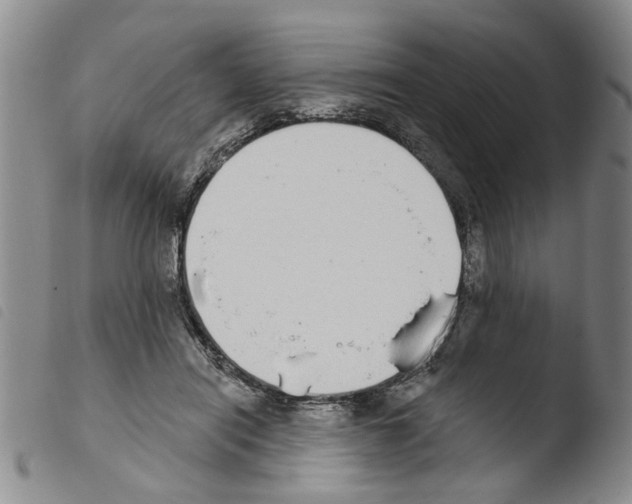 X0000103470454200810241018