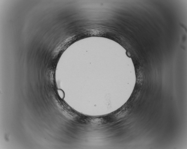 X0000103470456200810241018