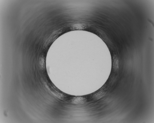 X0000103470459200810241018