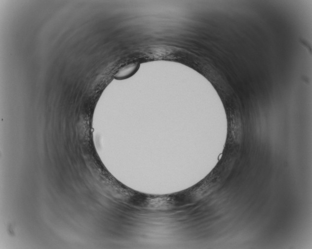 X0000103470461200810241018