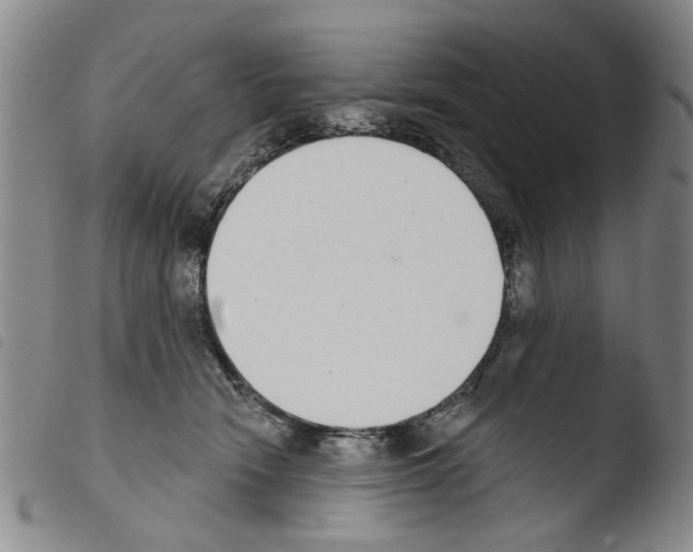 X0000103470466200810241018