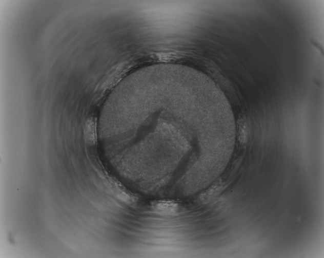 X0000103470471200810241018