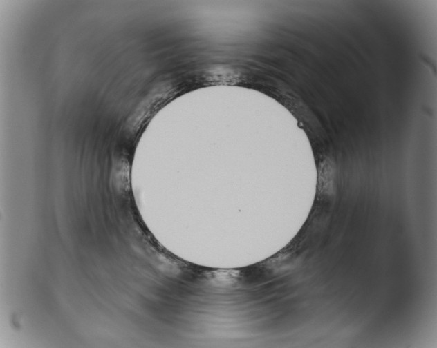 X0000103470474200810241018