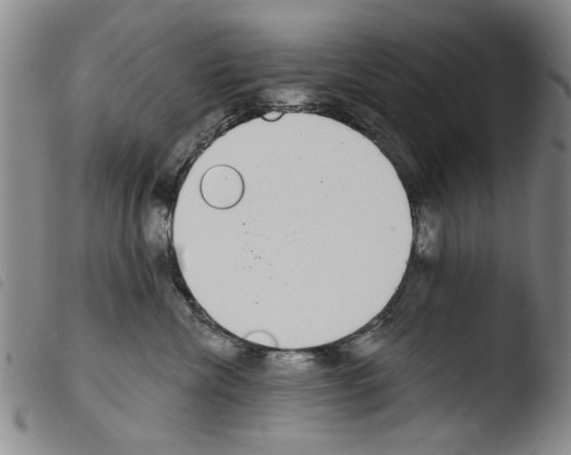 X0000103470476200810241018