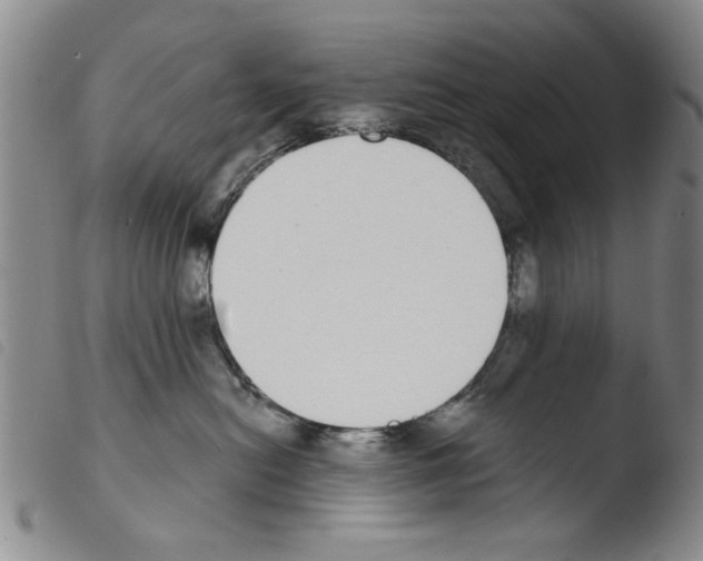 X0000103470478200810241018
