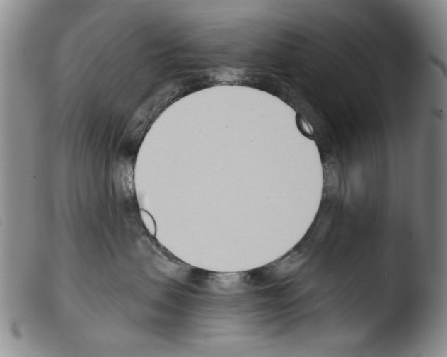X0000103470479200810241018