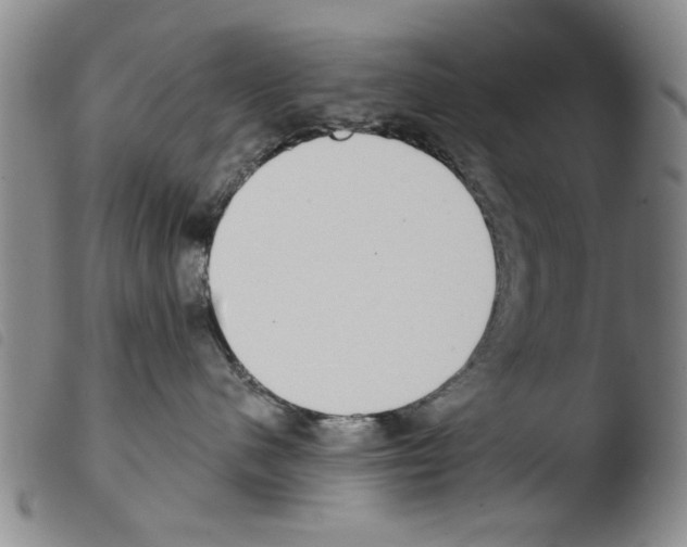 X0000103470480200810241018