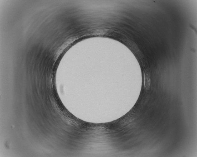 X0000103470483200810241017