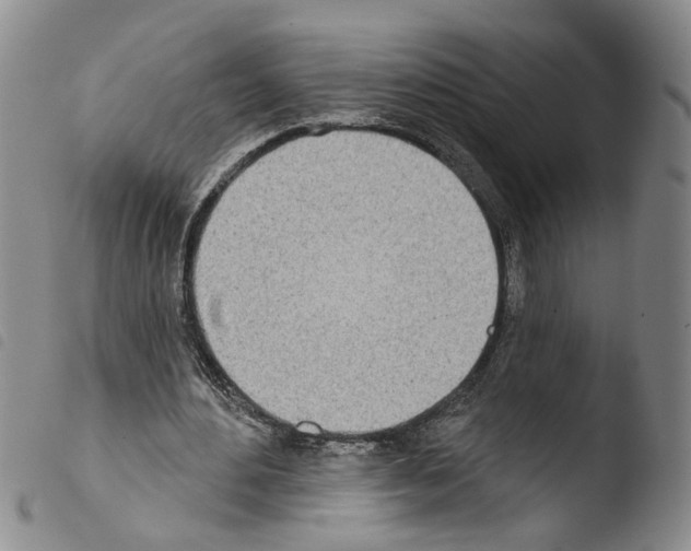 X0000103470484200810241017