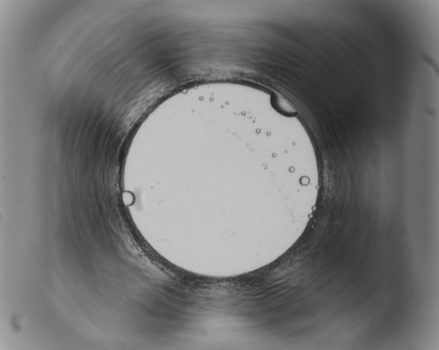 X0000103470485200810241017
