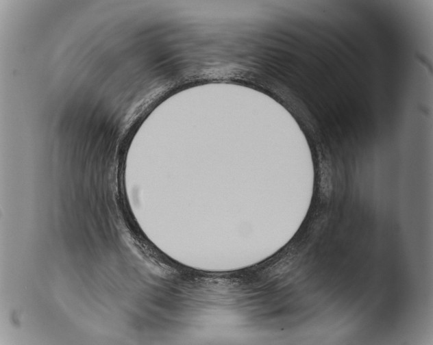 X0000103470486200810241017