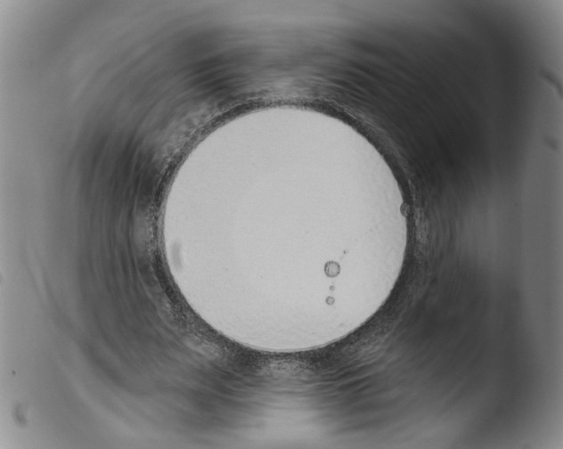 X0000103470487200810241017