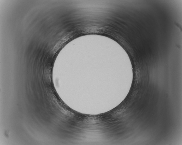 X0000103470489200810241017