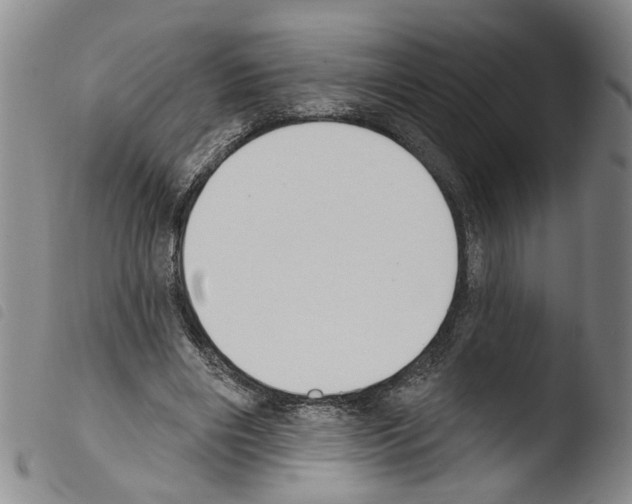 X0000103470490200810241017